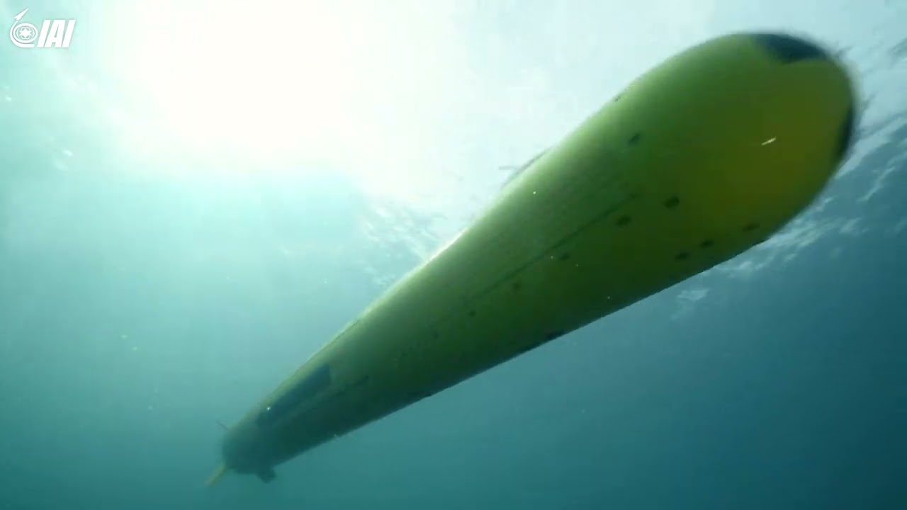 Blue Whale - Israel Aerospace Industries