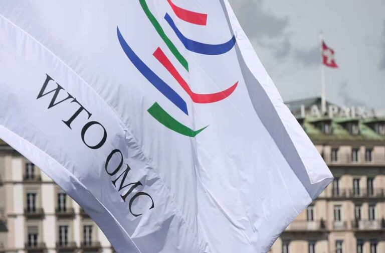 WTO Brief History