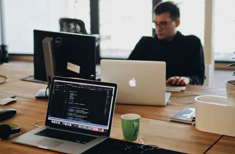 Business Survival Study