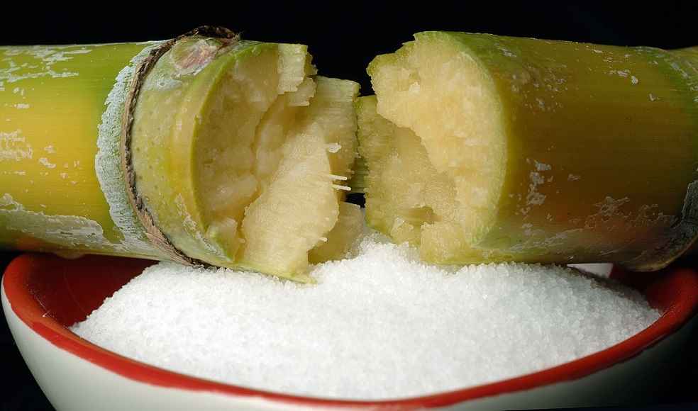 India ban sugar export_Sugarcane_and_bowl_of_sugar