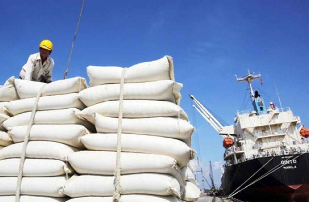 India Imposes 20% Export Duty on Parboiled and Milled Rice 2 Rice export India