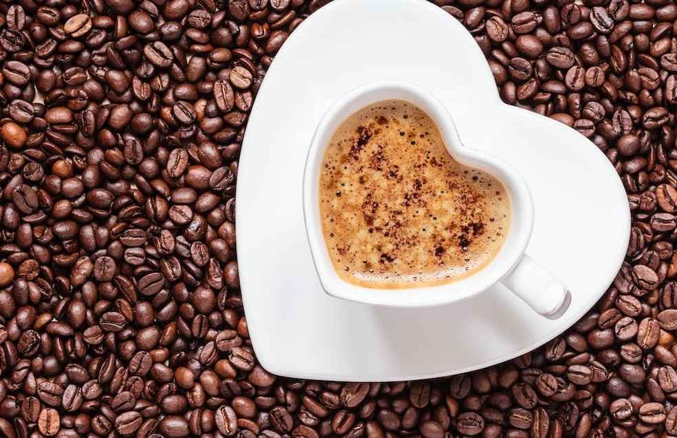 India to Host World Coffee Conference 2023: Spotlighting Sustainability 2 WCC