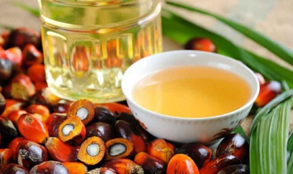Malaysia Calls India's Palm Oil Duty Hike Temporary, Seeks to Strengthen Ties 1 Malaysia-palm-oil_Export to China