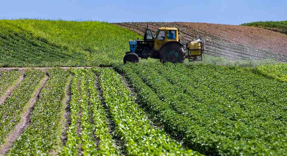 Ukraine_grain_farm_field_Ukarain agriculture ban