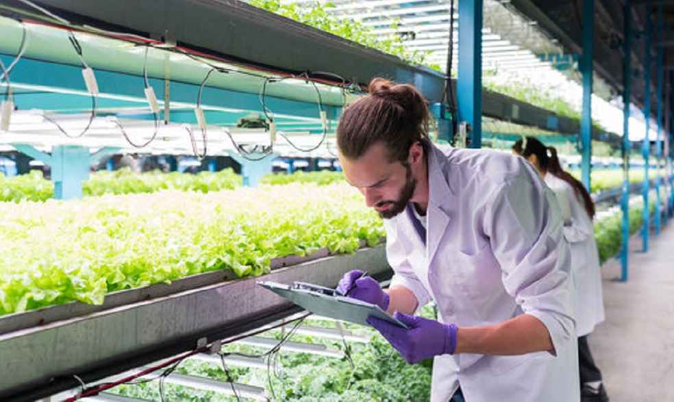 vertical Farming_Saudi Poultry Production