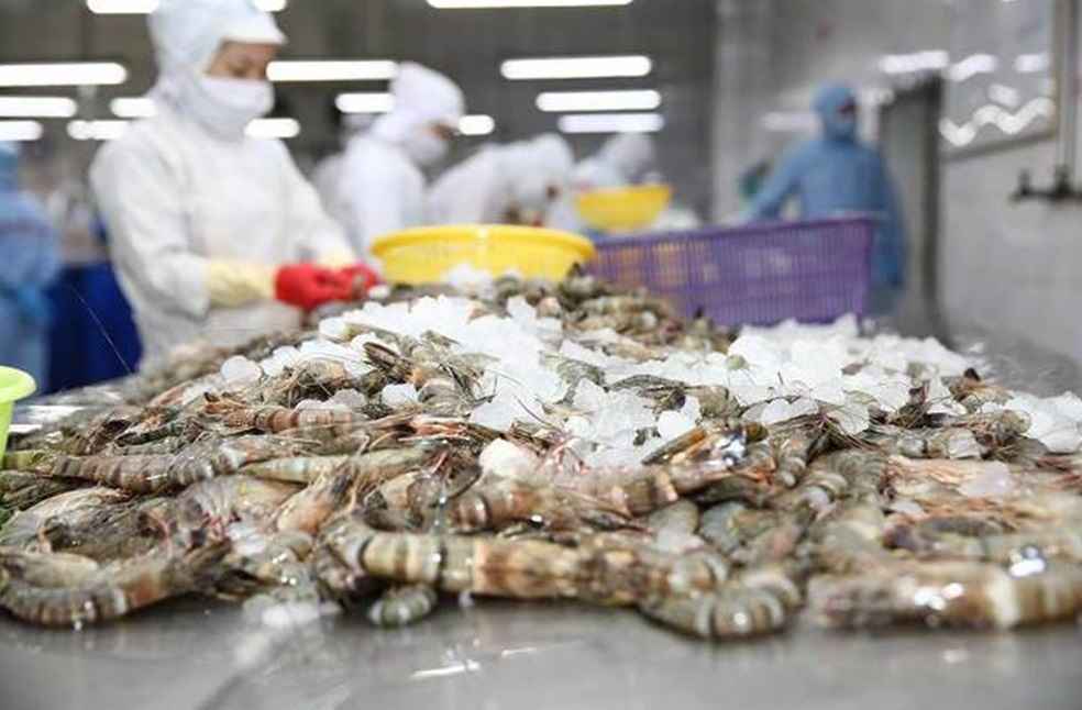 Vietnam Shrimp export_UK Vietnam Trade