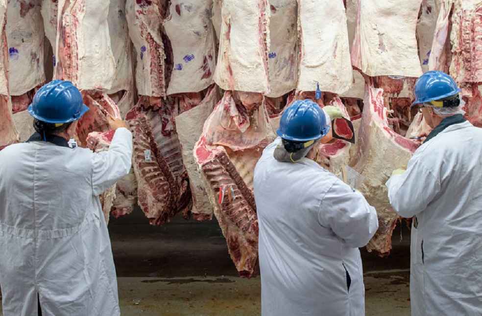 Beijing Extends Export Registrations for U.S. Pork and Poultry Plants 2 beef production Australian