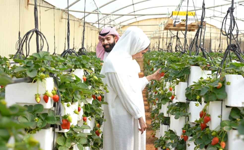 Saudi Food Production sector  