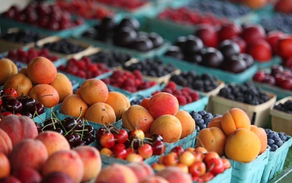 fruits export us_U.S. Specialty Crops