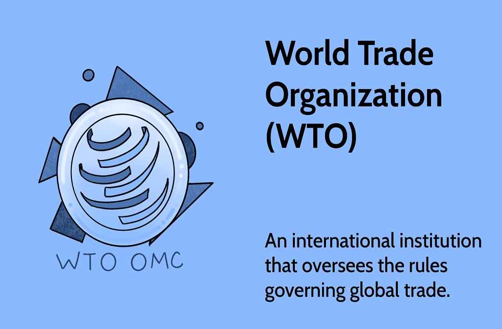 India's Warning Against Irrelevant Interventions by WTO