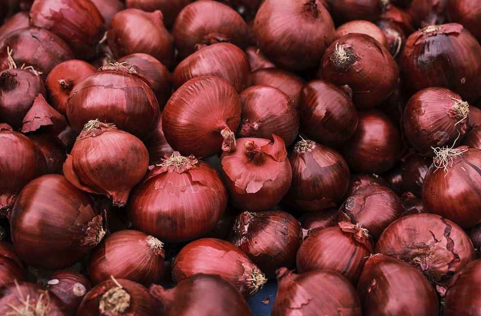 India Extends Onion Export Ban: Global Impact and Political Motives Analyzed 2 onion supply