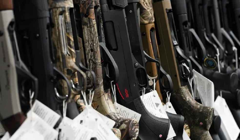 Egypt Backs Macron's Call to Halt Arms Exports to Israel for Gaza Use 1 weapon imports