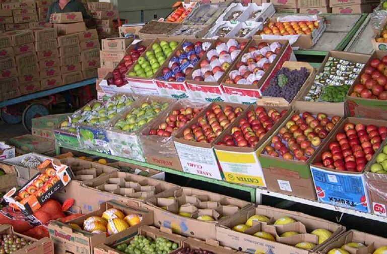 Brazil Fruit Export