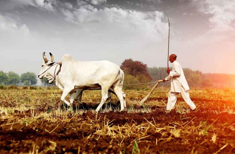 Indian Agriculture_Agricultural Products