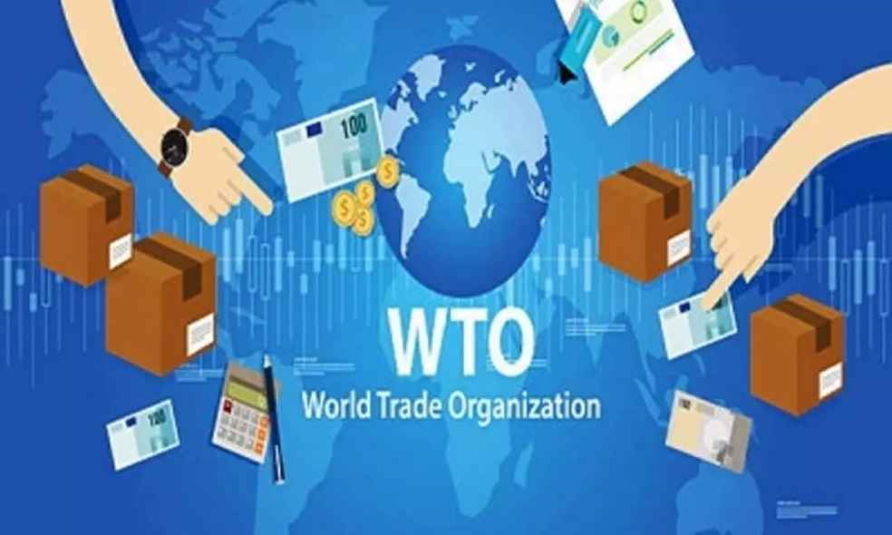 WTO Nations Question India’s $48 Billion Farm Input Subsidies 2 WTO Nations Question India’s Farm Input Subsidies