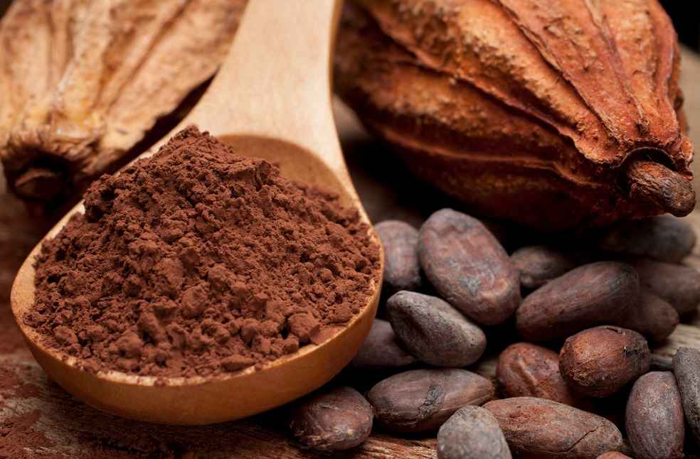 Africa’s Tariff Reforms Drive Food Independence and Boost Trade 3 Dutch Cocoa