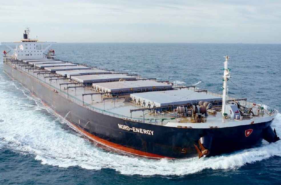 Longer Shipping Routes Disrupt Global Trade, Hit Indian Exports: Piyush Goyal 1 Capesize Vessel