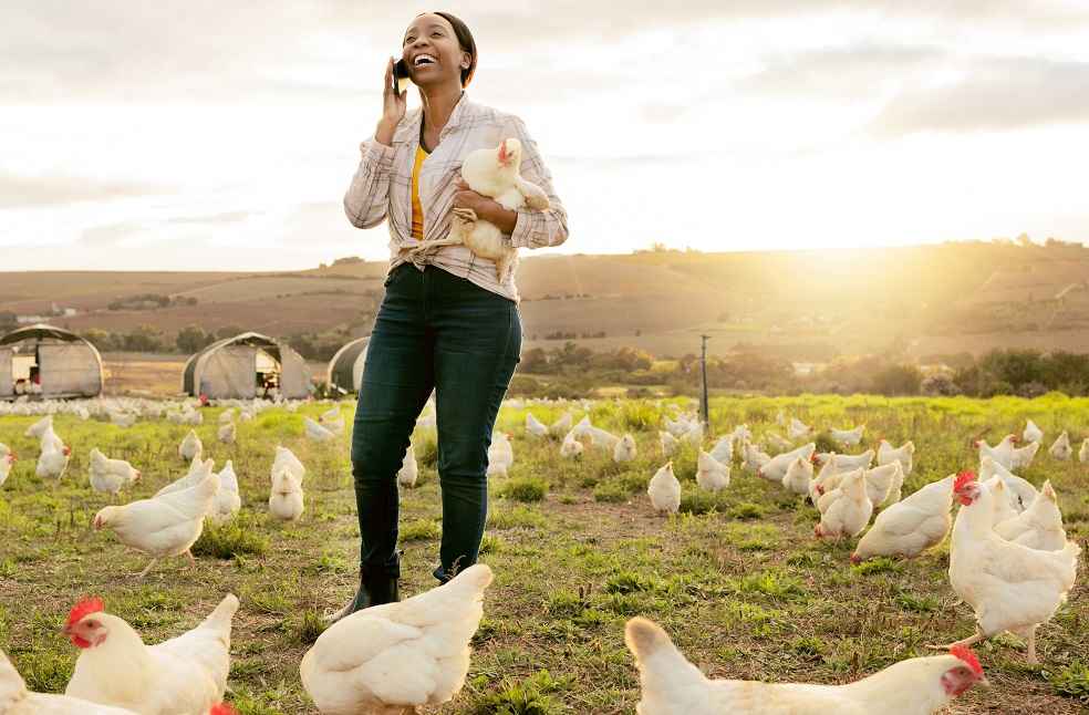 Global Organic Meat Market Growth and Trends 2 Global Organic Meat Market Growth and Trends