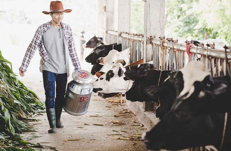 Global Organic Meat Market Growth and Trends 3 Global Organic Meat Market Growth and Trends