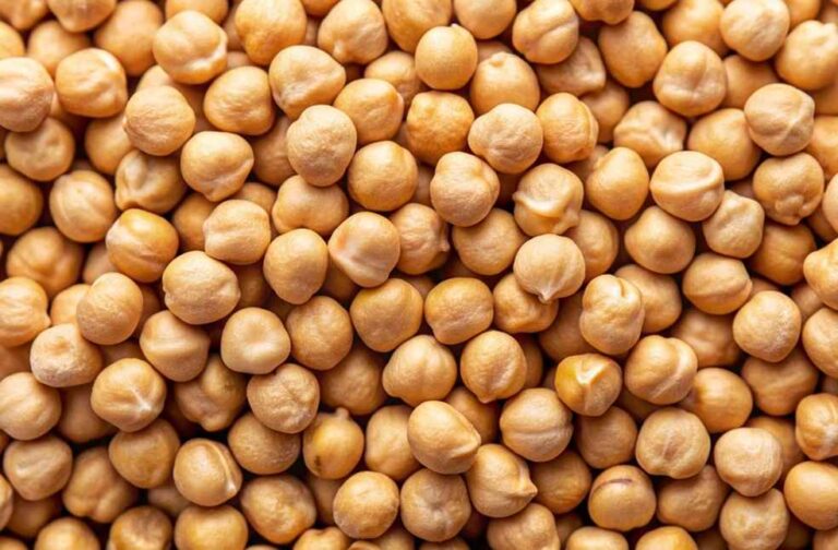 Bengal gram\ Chickpeas Image