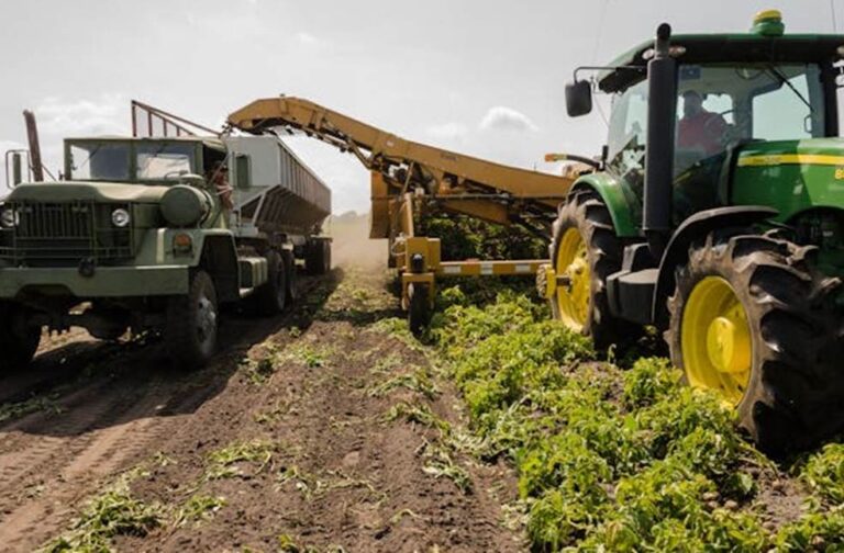 Agricultural Exports Image