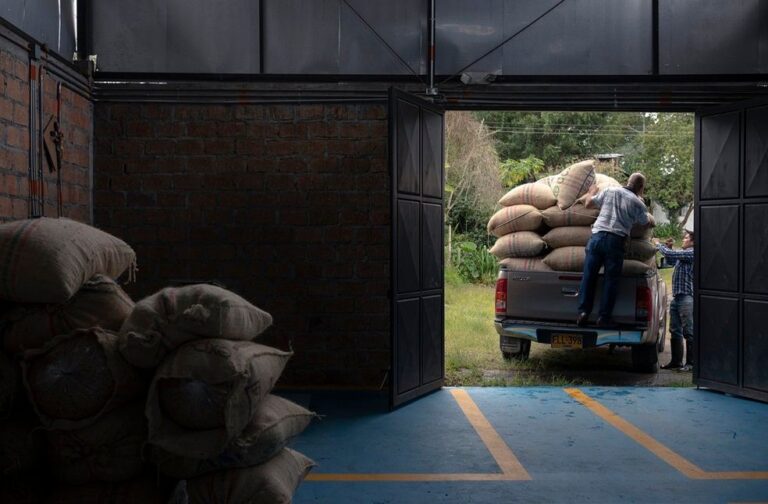 Agro Exports Image