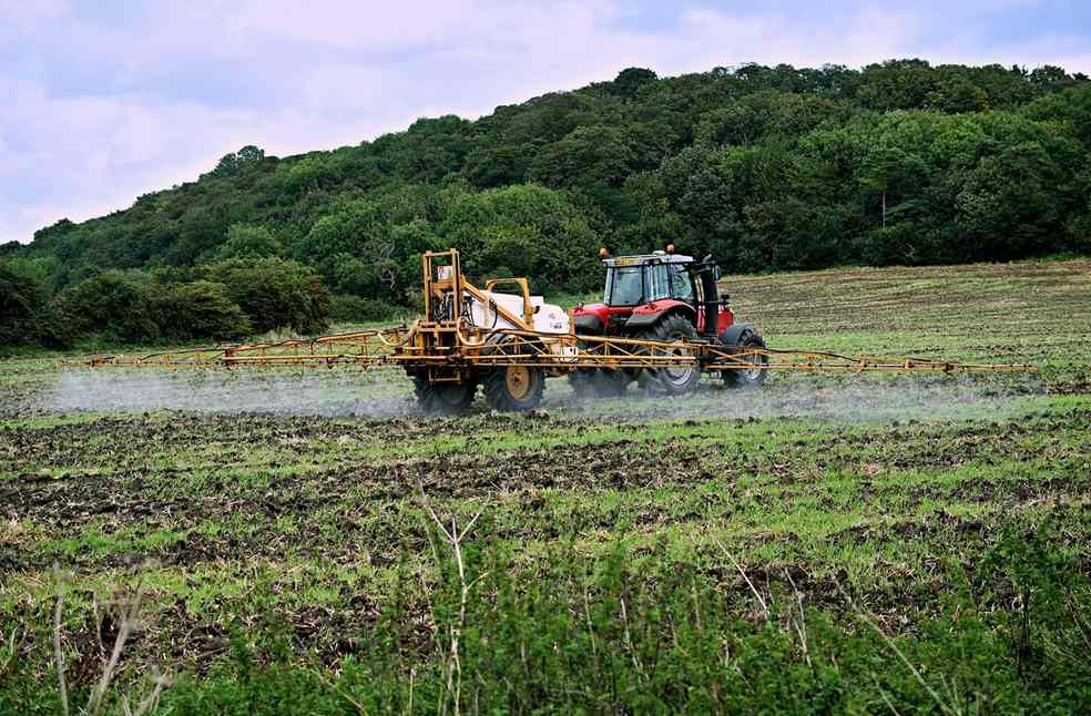 Kenya Bans Import of 50 Pesticide Brands for Safer Farming 1 Pesticides Alt Imge