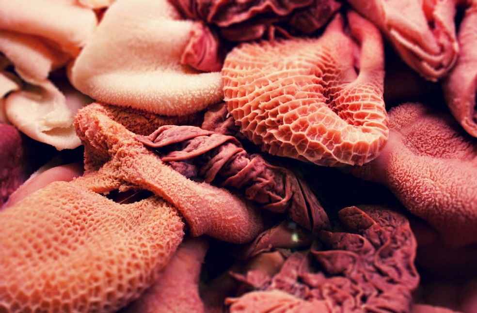 Argentina Set to Finalize Cattle Offal Export Deal with China 1 Beef- Offal Export