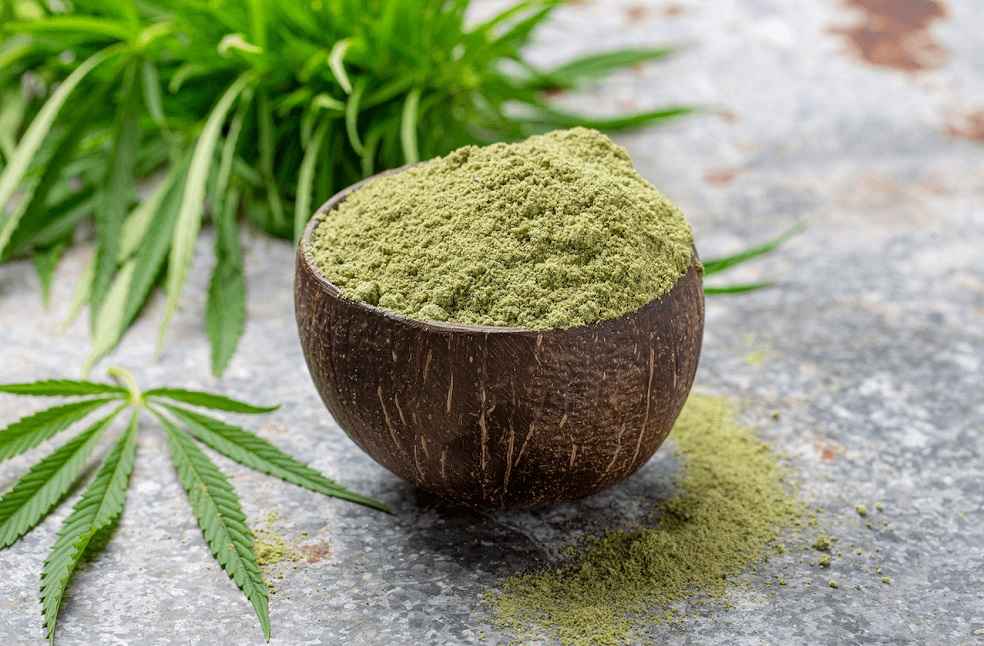 Hemp-Protein